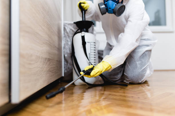 Trusted Eastvale, CA Pest Control Experts