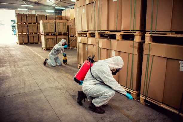 Best Termite Control Services  in Eastvale, CA
