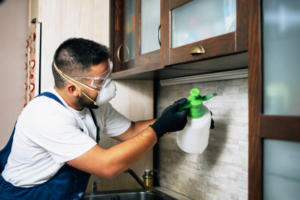Best Pest Removal Services  in Eastvale, CA