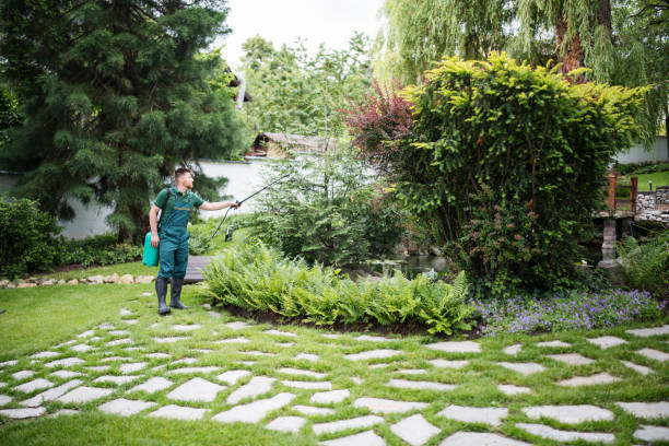 Best Local Pest Control Services  in Eastvale, CA