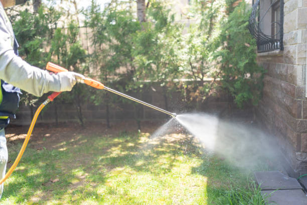 Best Wasp Removal Services  in Eastvale, CA