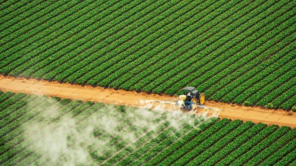 Best Commercial Pest Control Services  in Eastvale, CA