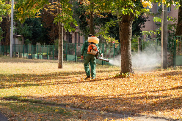 Best Exterminator Services  in Eastvale, CA