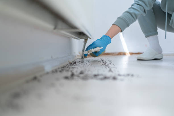 Best Best Pest Control Companies  in Eastvale, CA