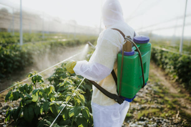 Best Pest Control for Businesses  in Eastvale, CA